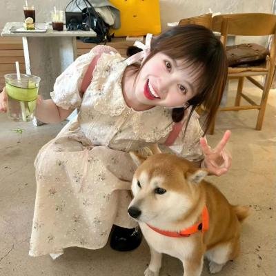 雪茫寻亲